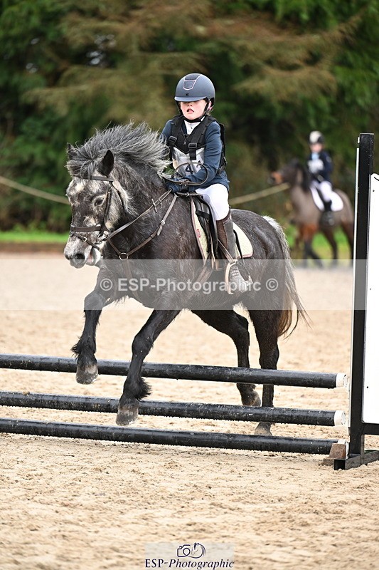 260222A-111801-00561 - 50cm All sections