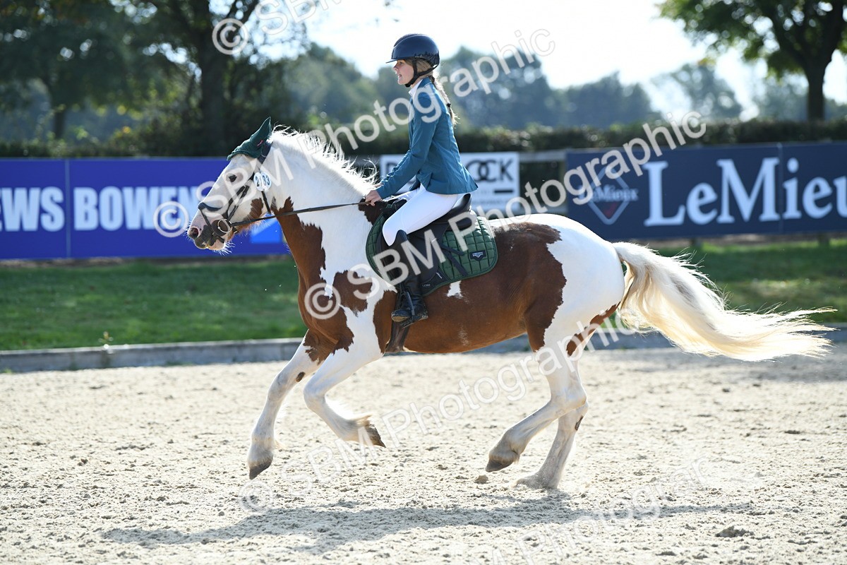 SBM_61594 - j25 - Junior Horse 80cm Championship