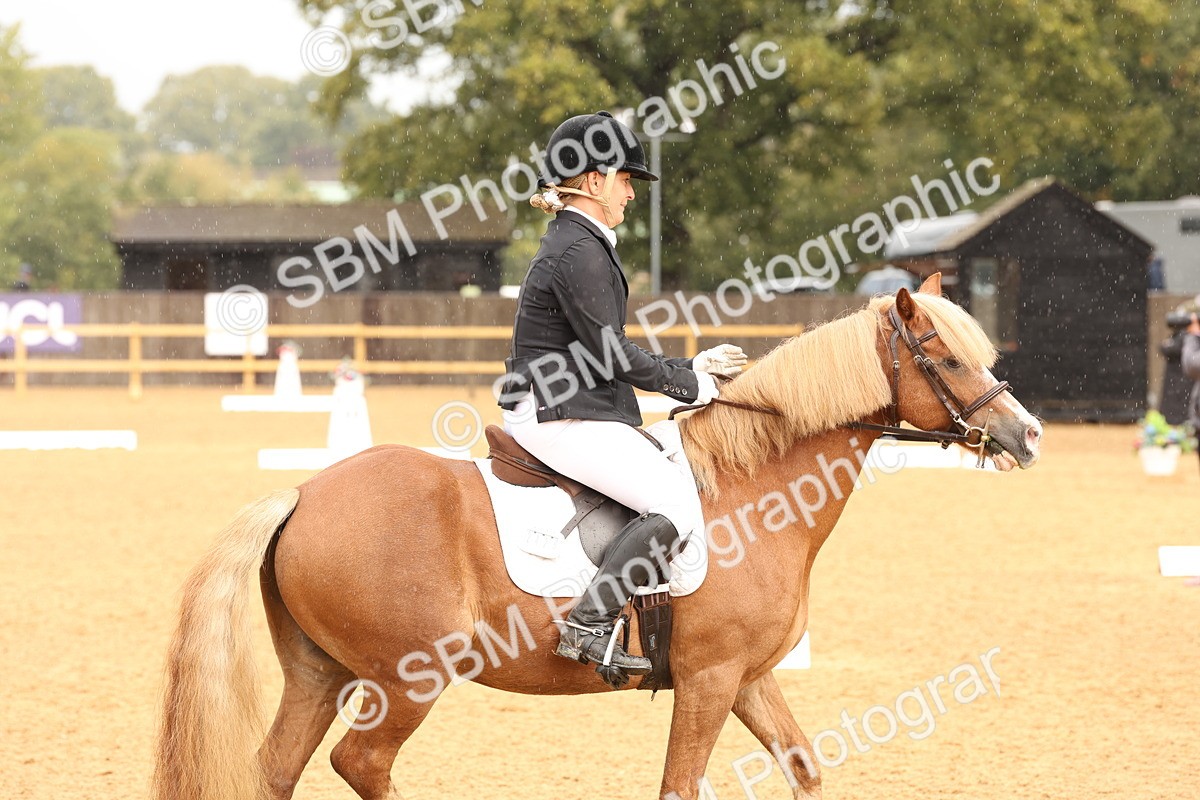 SBM_40584 - D6 - Small Tour Championship Intro 4