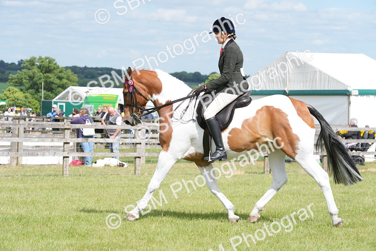 SBM_17582 - Class 107-108 - LIHS BSPS Performance Coloured Horse Pony