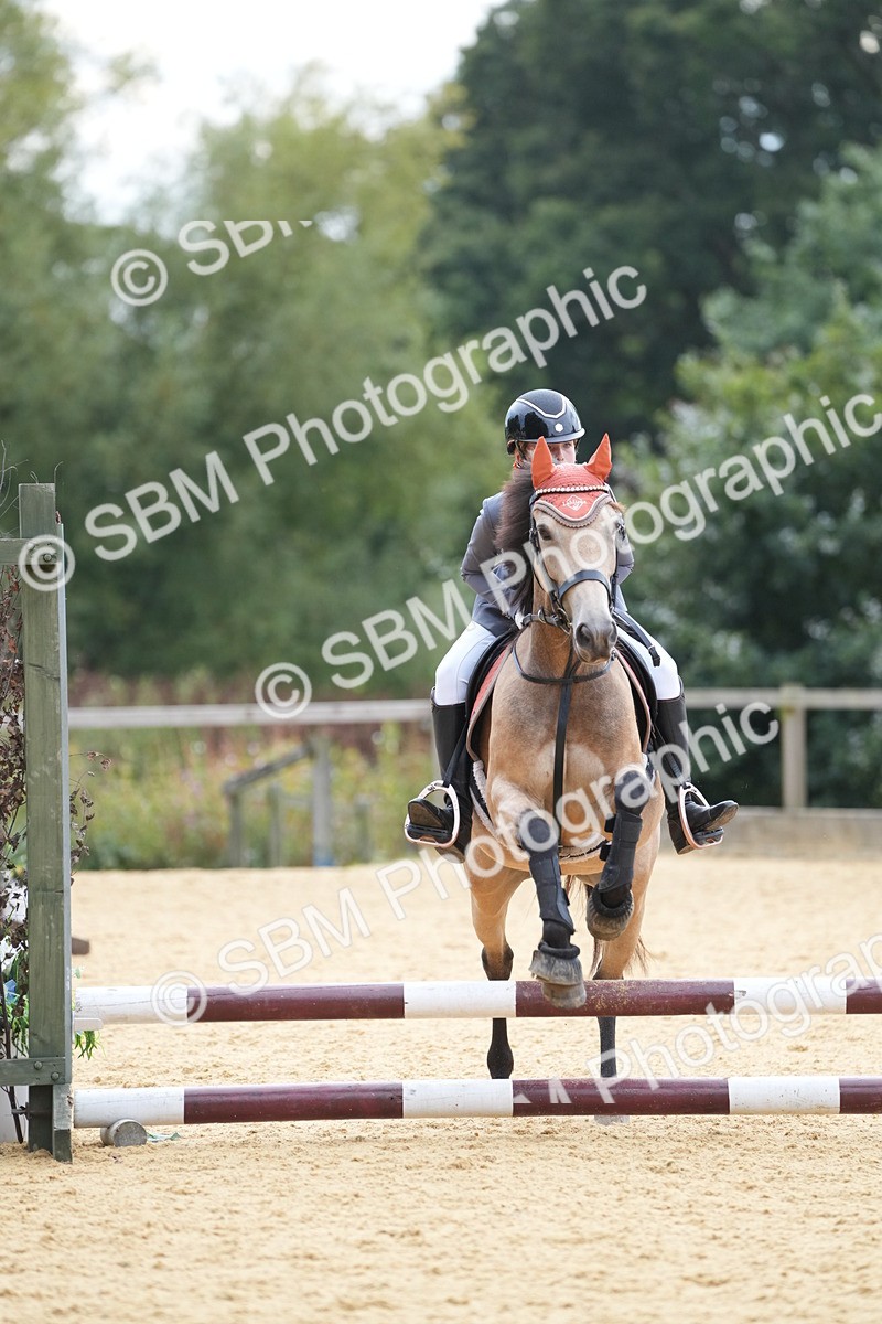 SBM_74748 - J4 - Mini Tour Junior Pony 45cm Championship