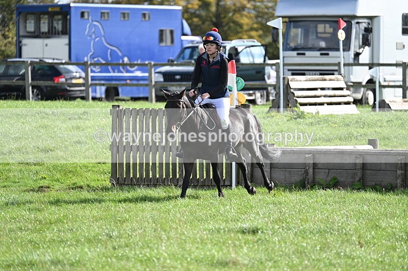 WJ7_8587 - 60cm Pairs