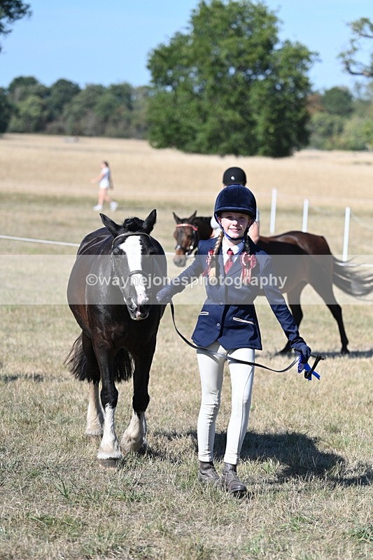 WJ7_1995 - Class 43 Best Six Legs (In hand)