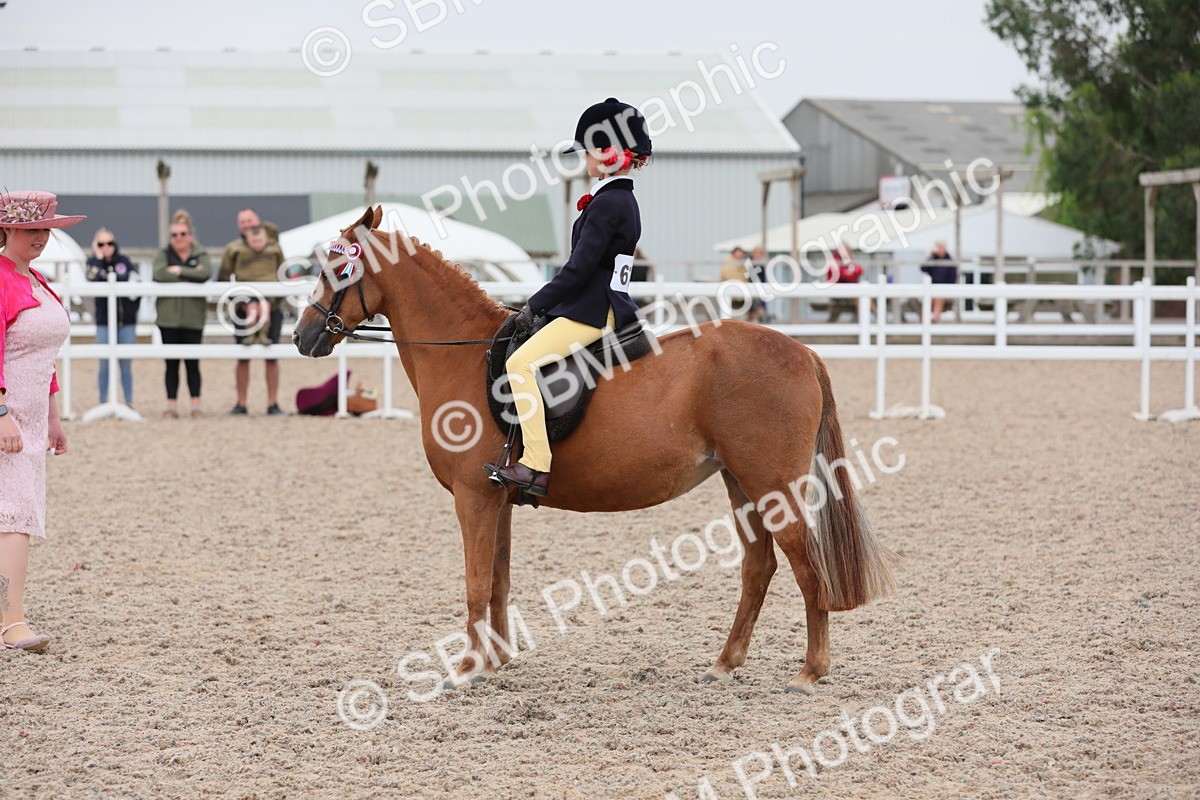 SBM_18148 - Class 316 Best Pony/Rider Combination