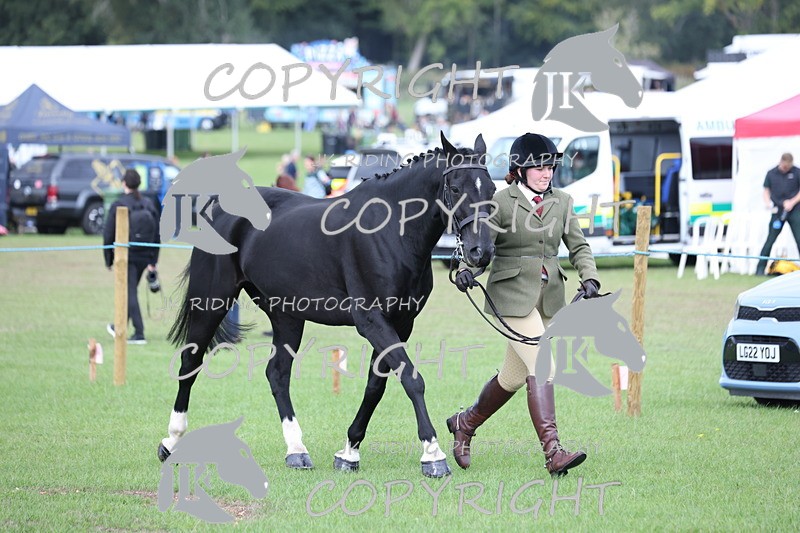 APP_2620 - Class 9 Veterans in hand