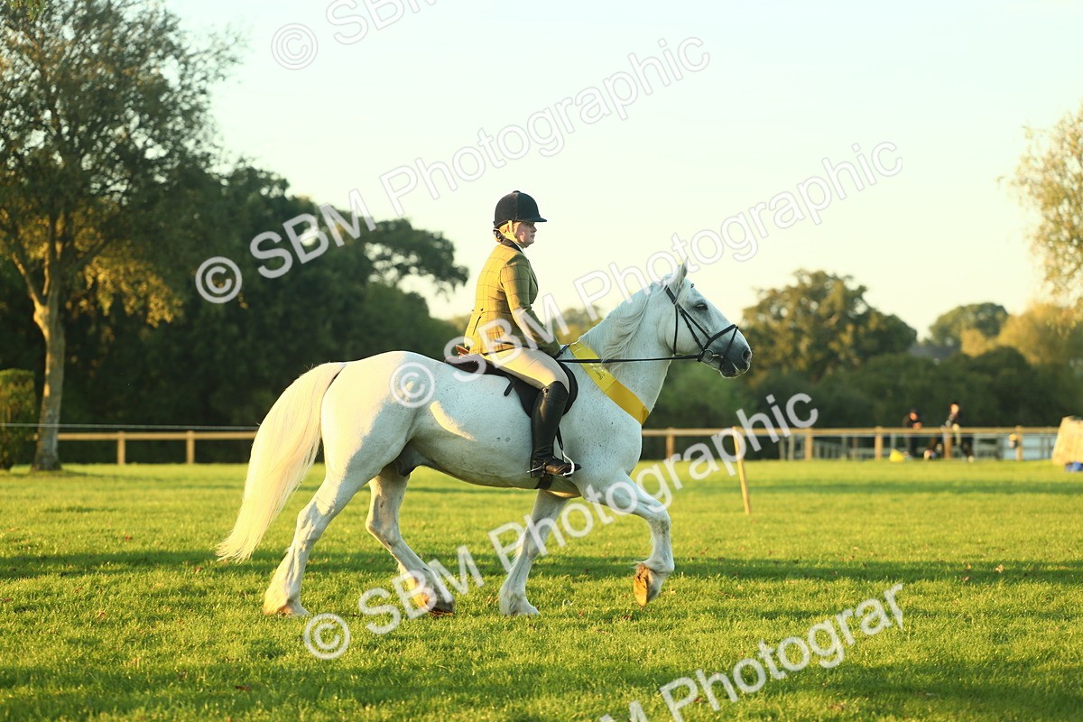 SBM_56611 - Fun & Versatile Supreme Championship