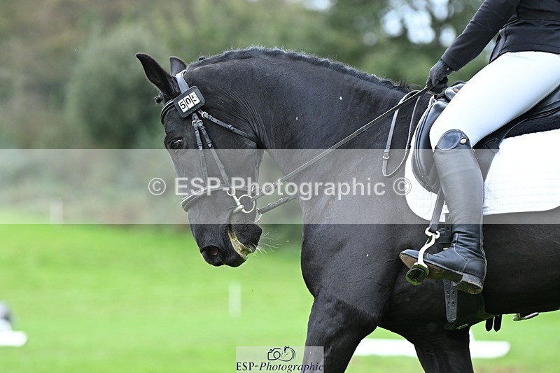 231020-152718-11173 - 505-MR.DARCY-Eleanor.Newcombe-DR