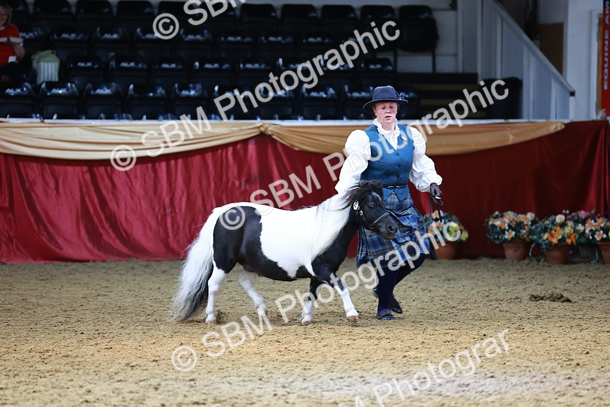 SBM_23112 - Class 903 - Supreme Final - IH Pre Vet