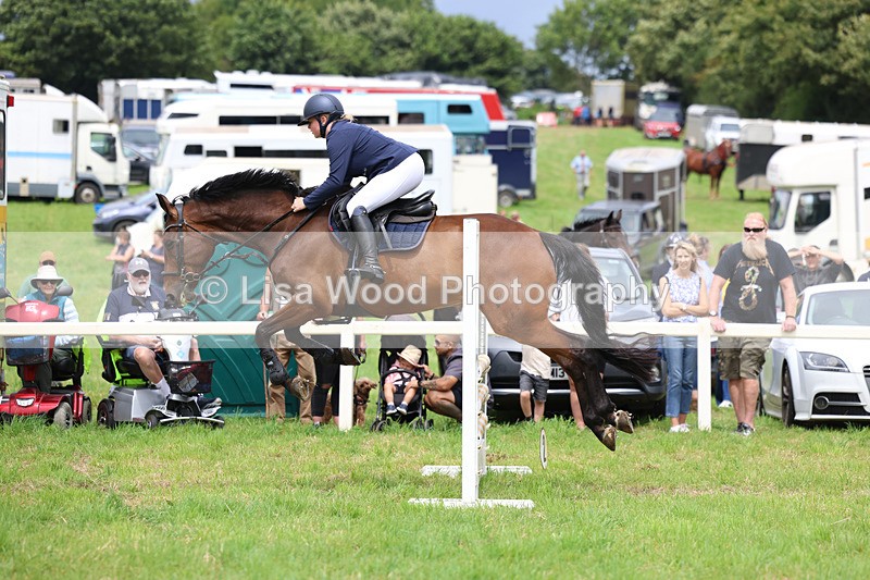 3E7A7372 - Class 5: Senior British Novice/90cm open