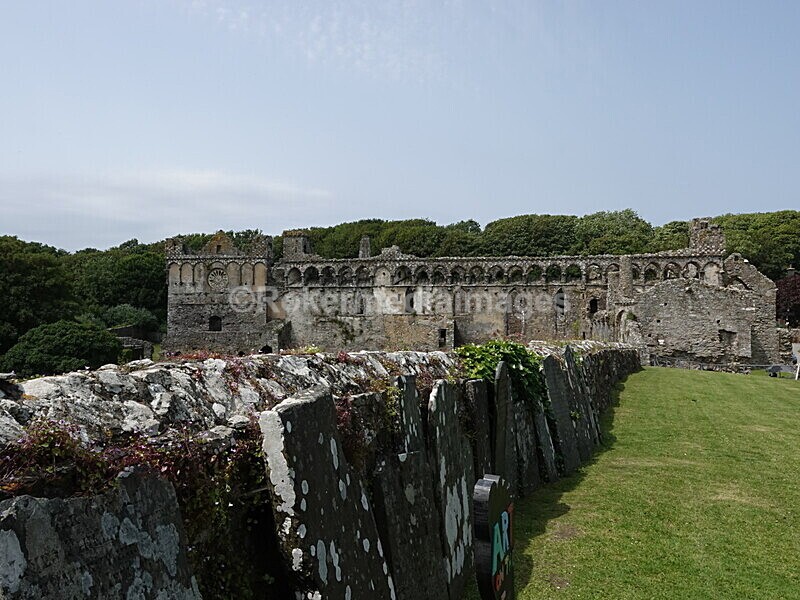 DSC00448 - Skomer 2019