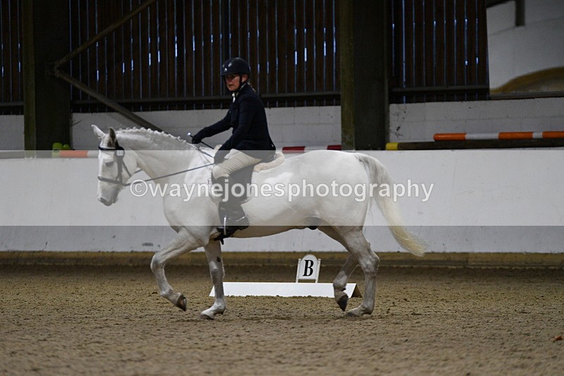 WJ5_8669 - Class 5 Novice Test 3