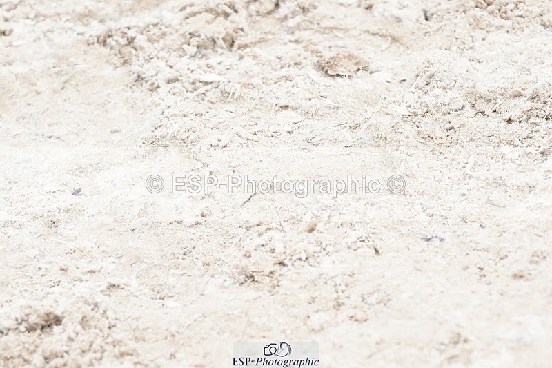 250420A-123704-00797 - Cls 03 80cm