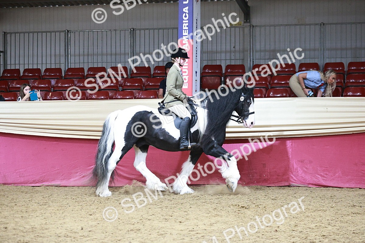 SBM_08753 - Class 12R - Regional Ridden Pre-Vet