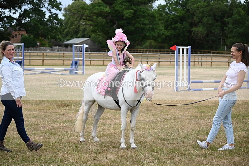 WJ6_5003 - Class 11 Fancy Dress