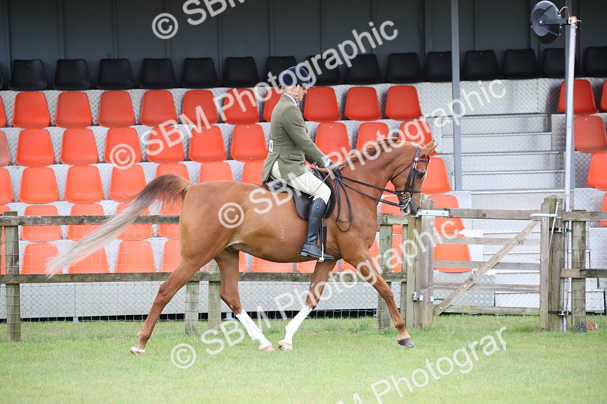 SBM_03603 - Class 21 - 22 - Ridden Arab and Part Bred/Anglo Arab