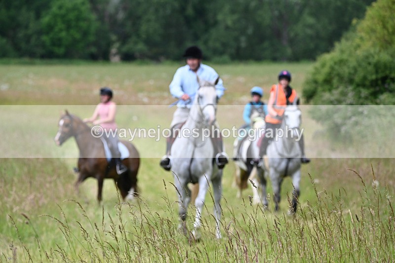 WJ6_8092 - Camera 1 Gallops