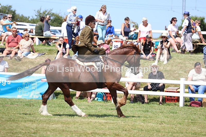 3E7A9616 - Class 13: Side Saddle