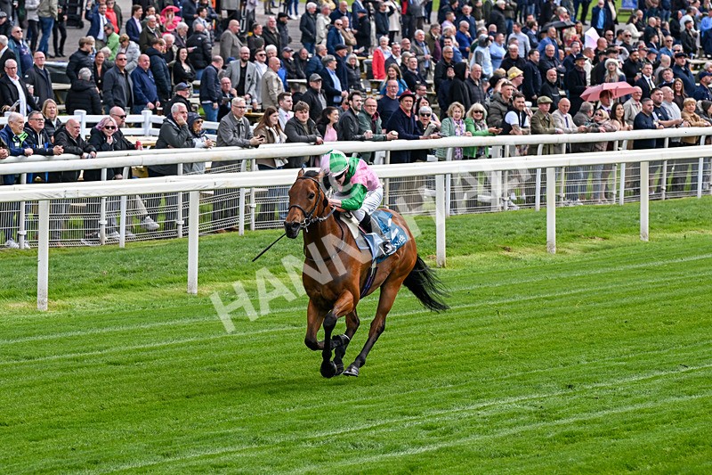 140526-Race 2-Jakajaro-0076 - Race 2 2.20pm Lindum York Handicap