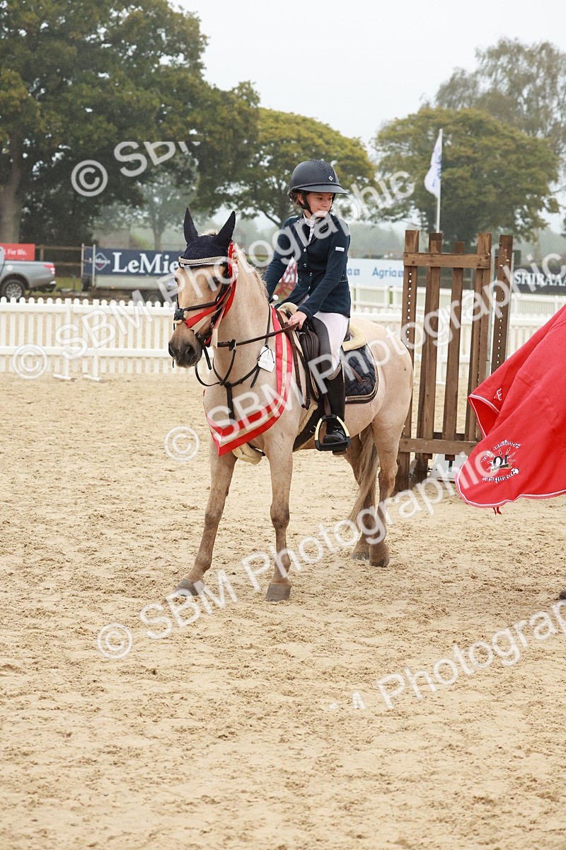 SBM_73512 - Supreme Championship Junior Pony 60cm & 65cm
