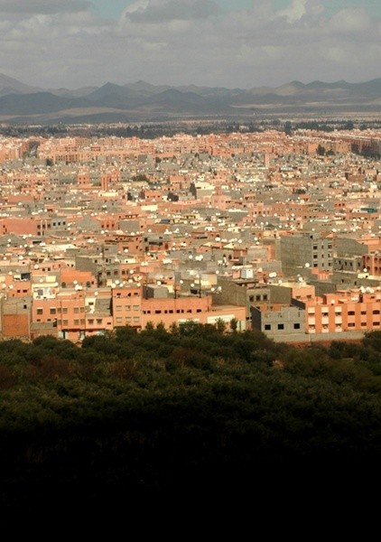 Plane's View - Marrakesh II