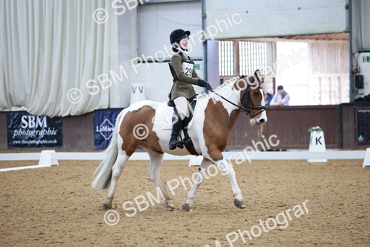 SBM_003931 - Class 2 - Novice 2020