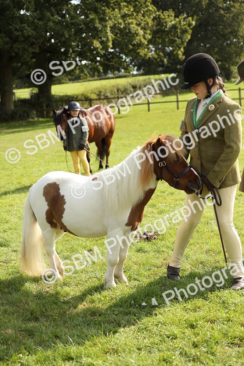 SBM_68593 - S40 - Junior Handler 9-12 Years