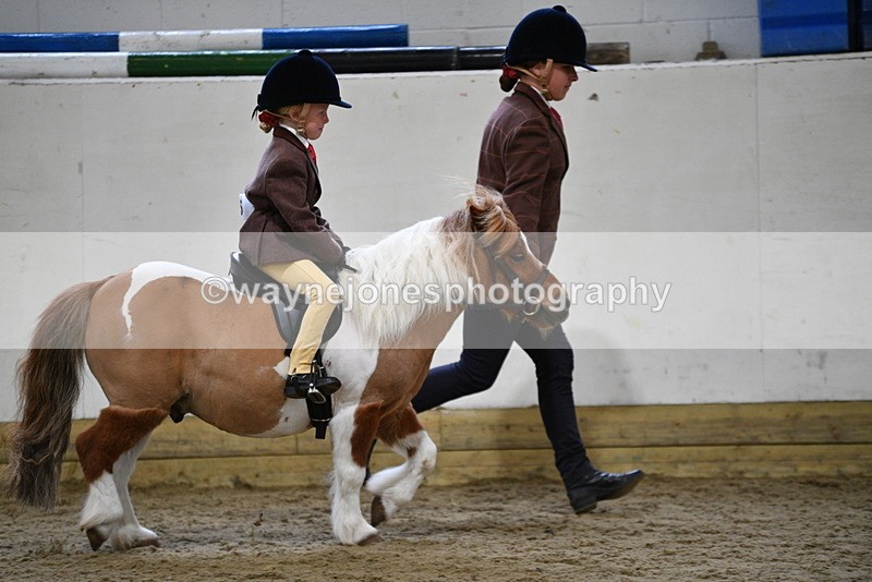 WJ5_6537 - Class 10 Childs Pony