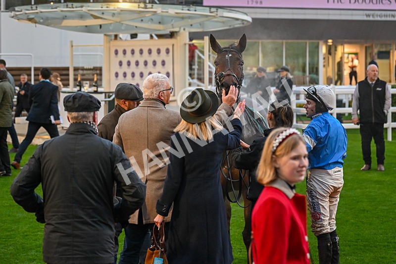151125-Race 7-Divine Diva-4842 - Race 7