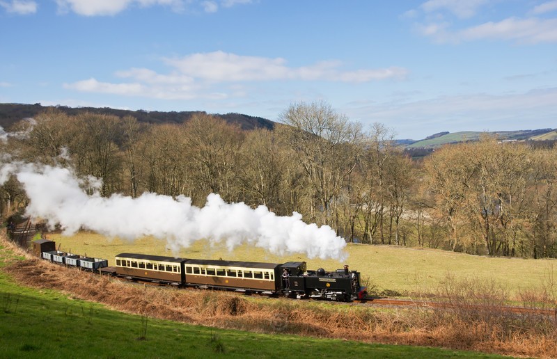 Above the Afon Rheidol - Trains of Thought