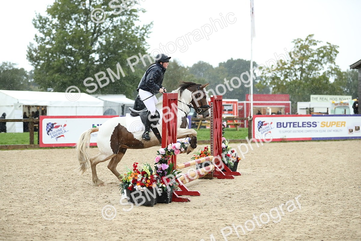 SBM_37120 - J20 - Junior Horse 50cm Championship