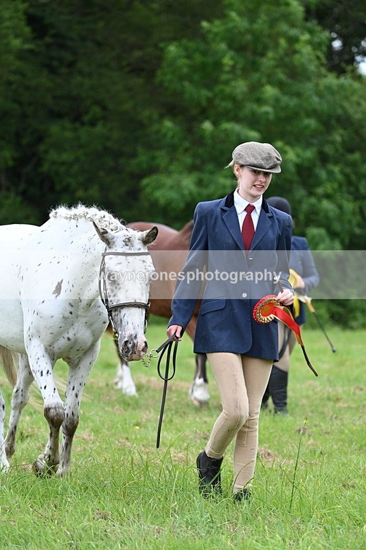 WJ7_4586 - Class 14B Prettiest Mare
