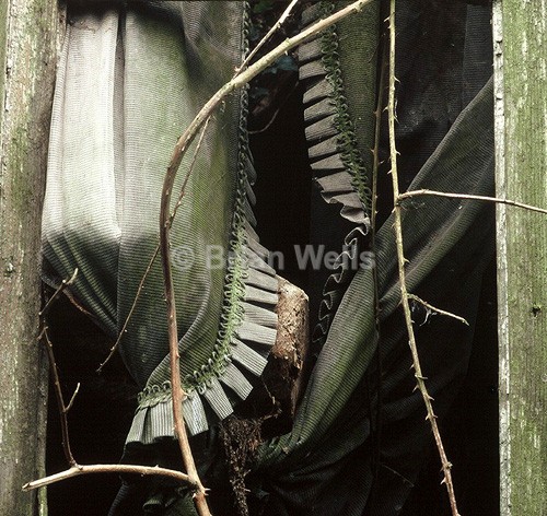 Brambles with Net Curtain - Abode's