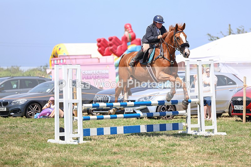 3E7A4421 - Class 10: Senior British Novice/90cm open