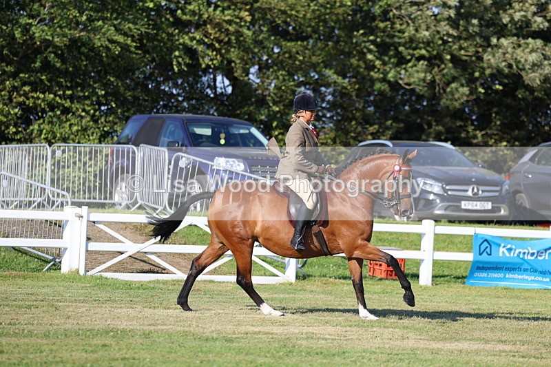 3E7A4980 - Class 1: Rising Star Small Hack/Riding Horses
