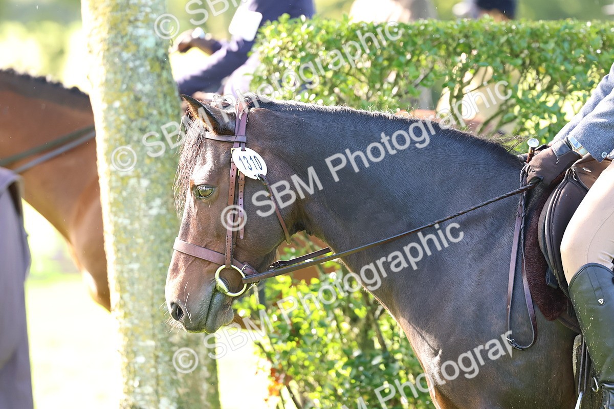 SBM_36915 - S11 - Best Ridden Horse & Pony