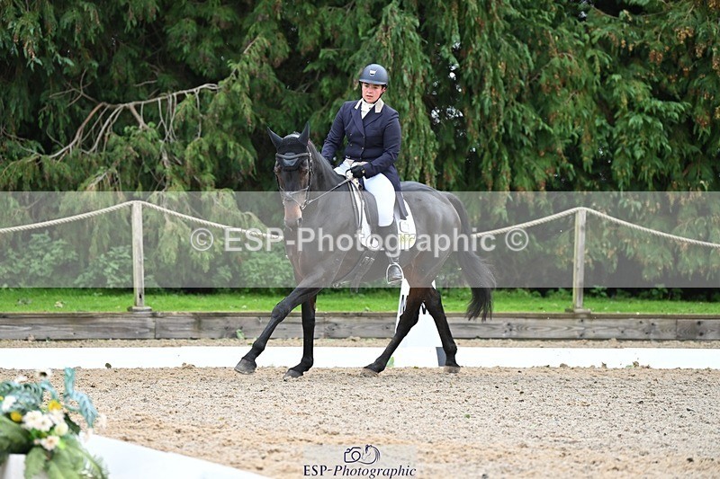 231019-130656-03291 - 121-KNOCKADERRY.MISTY.BAT-Harriet.Dickin-DR