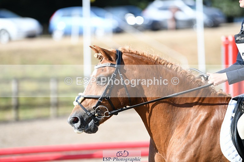 250822A-101404-19934 - NAF Round 1 9.10 to 10.20