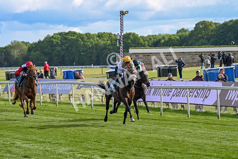 140526-Race 7-Arc Ole Ole-6005 - Race 7 5.15pm Frank Whittle Partnership Handicap