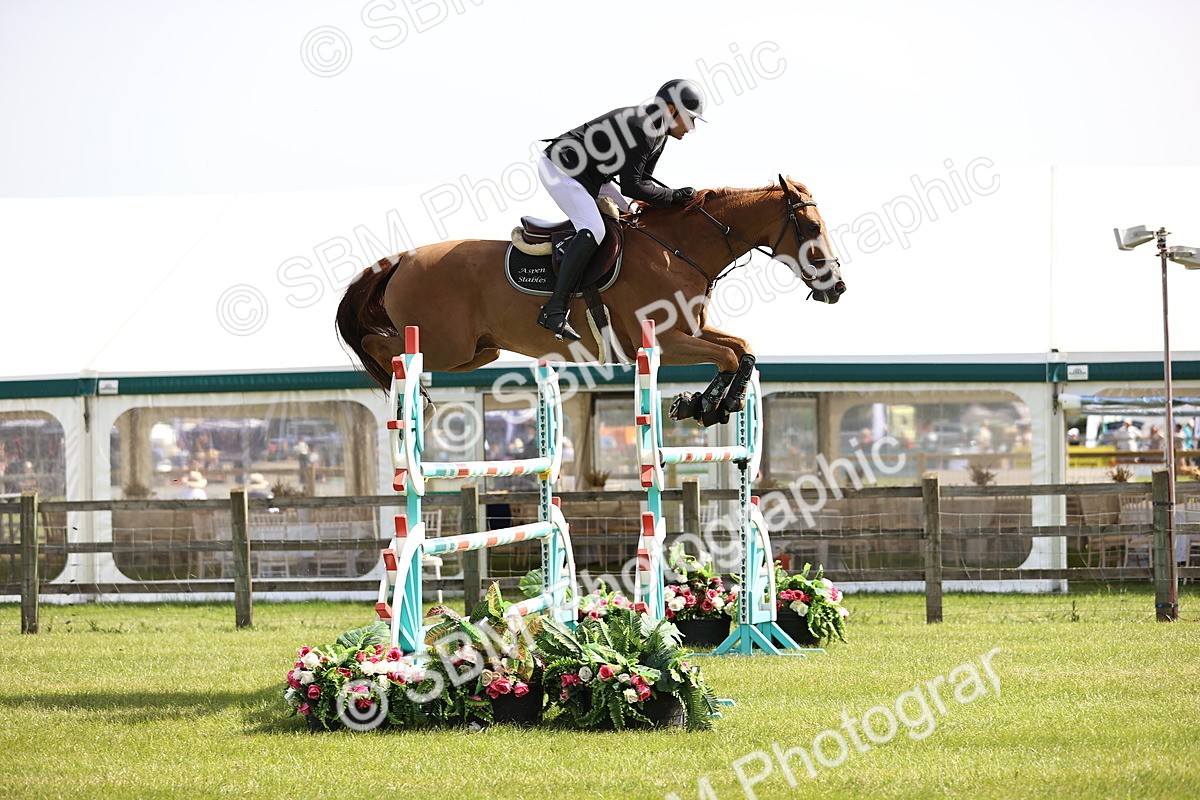 SBM_02989 - Class 201 - British Horse Feedds Speedi Beet HOYS Grade C