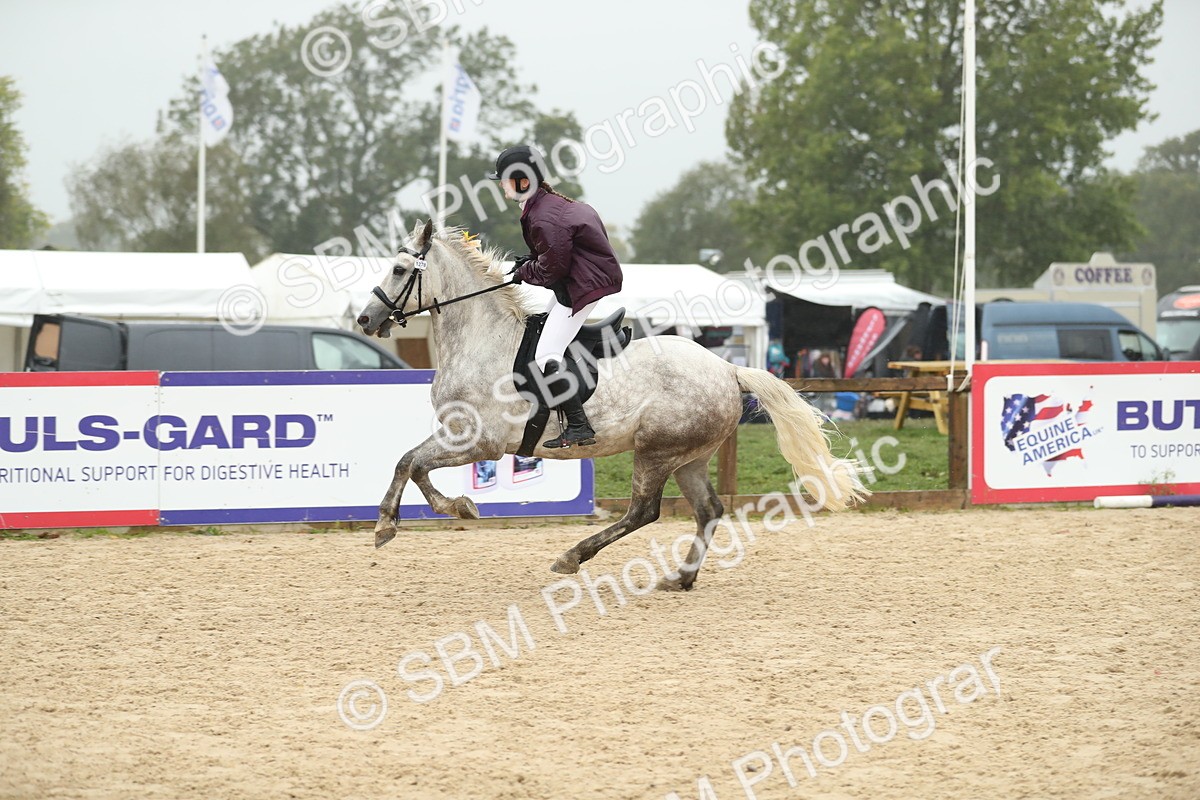 SBM_74162 - J16 - Junior Pony 75cm Championship