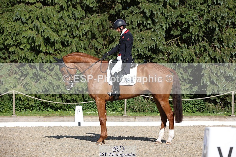 230526-174942-08040 - 181-AMIRO_ISLAND-Harry_Meade-WEDTrotUp+DR