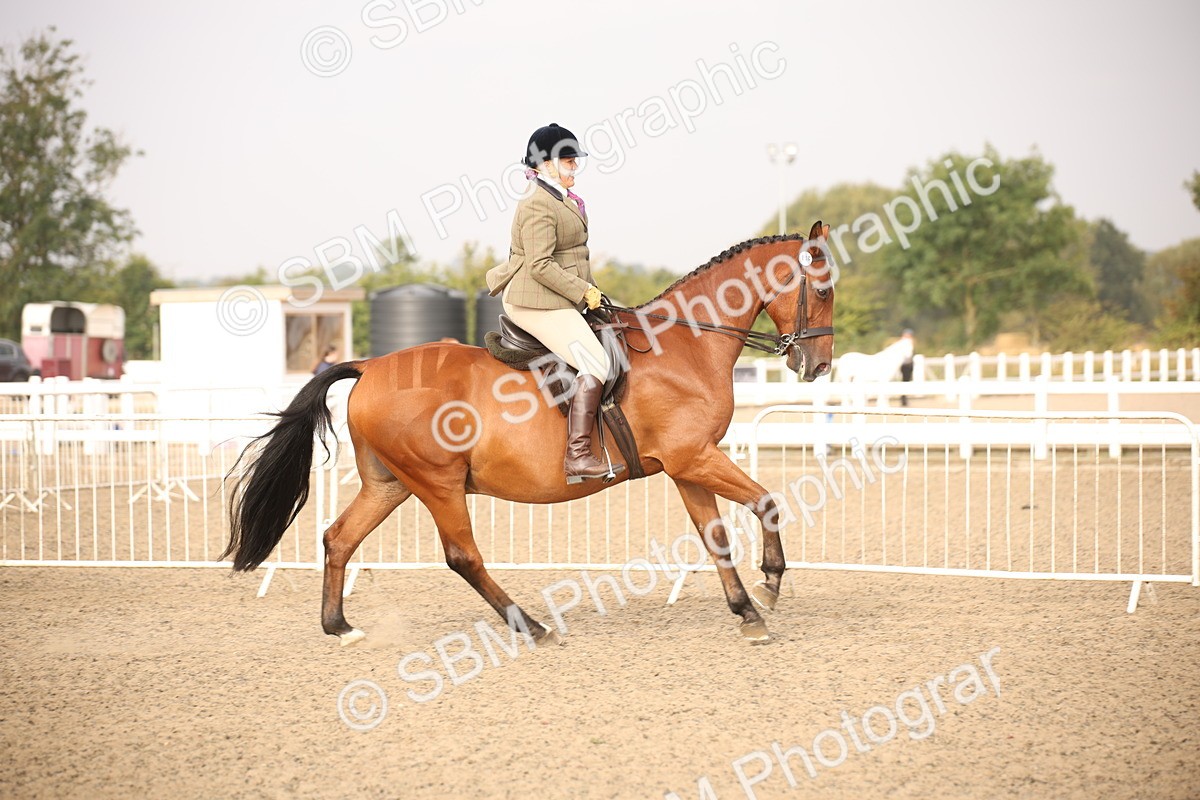 SBM_10215 - Class 402 Riding Club Horse