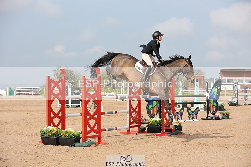 250424-102602-03009 - Cls 33 Young Horse 7yr old