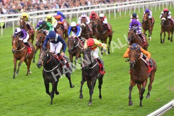 yr19082021r2-30 - Race 2 2.25pm Goffs UK Premier Yearling Stakes