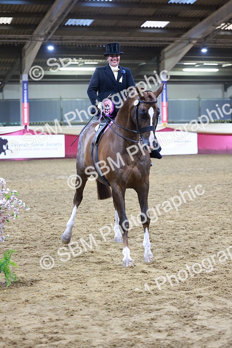SBM_14760 - Class J - Foreign Breeds Champ