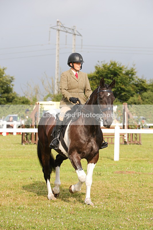 1X9A2925 - Class 25: Ridden Plaited Coloured Horse