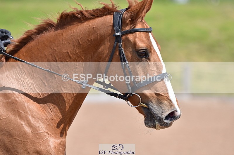 230520A-130702-00483 - 90cm