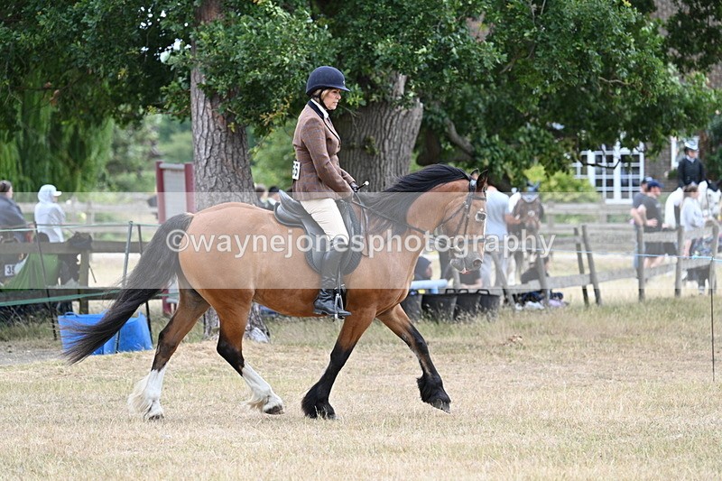 WJ7_0512 - Class 6 Ridden Mountain and Moorland