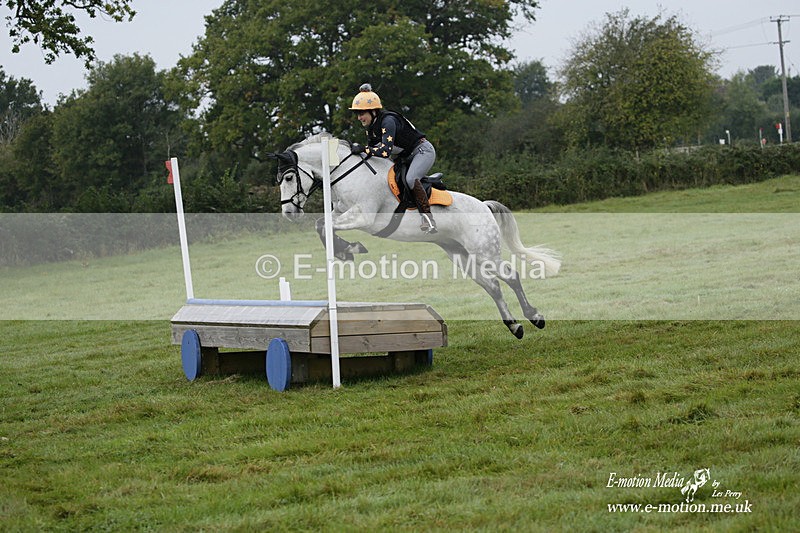 WWHT 171021 0206 - Novice Restricted (0.80m)  17/10/21