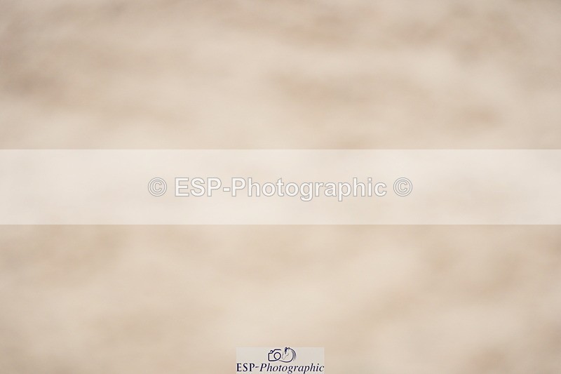 230924A-112920-04560 - 100 SJ 11.00 to 12.00